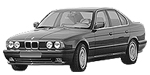 BMW E34 P032C Fault Code